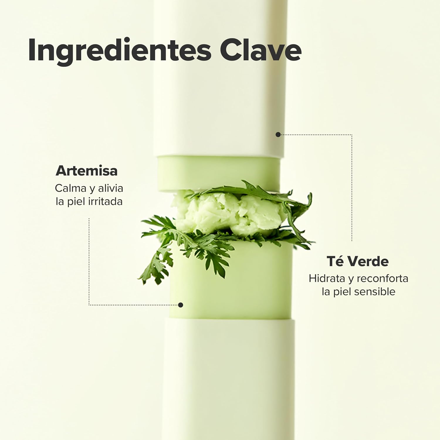 Beauty Of Joseon Set Matte Sun Stick Mugwort + Camelia