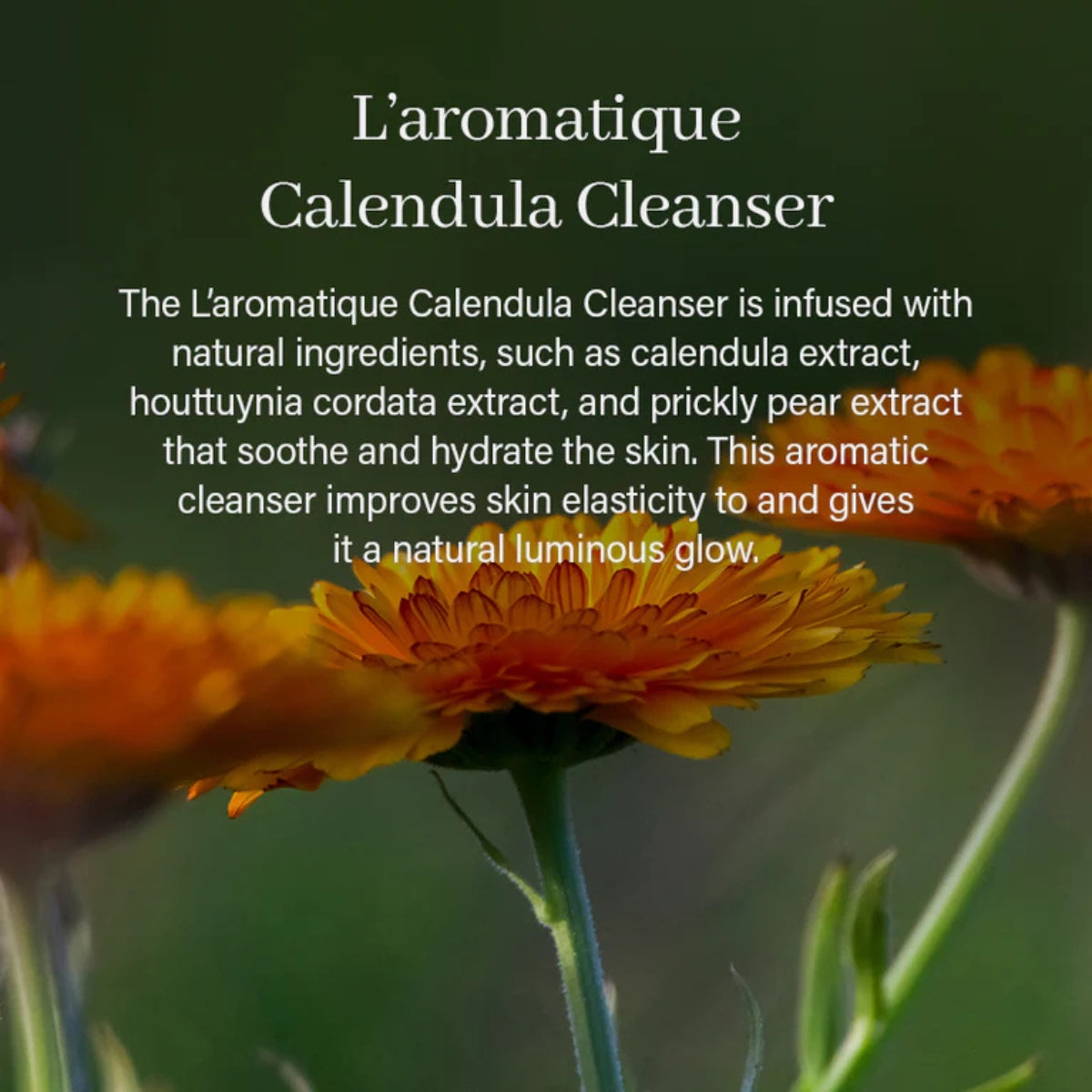 Textura masa limpiador con calendula para rosacea y piel muy sensible